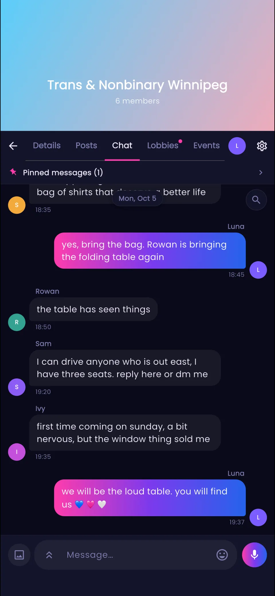 The Stargazers group chat, with one pinned message. Theo offers lifts, Ivy is bringing lemon bars, and Luna says see you all Saturday.